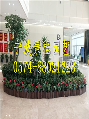組合擺放1