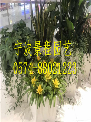 組合擺放3