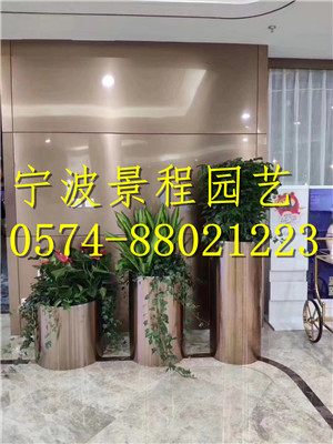 組合擺放7