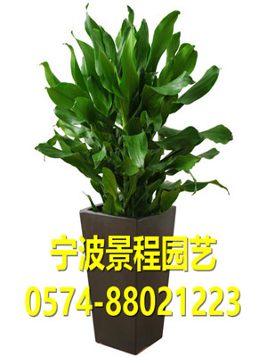 螺紋鐵