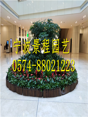 案例