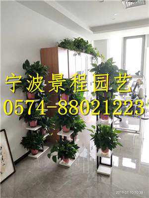 案例